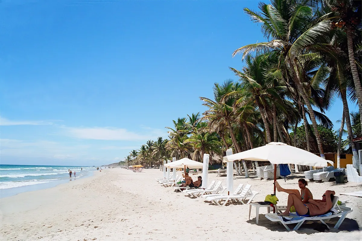 Tumbonas y sombrillas bajo las palmeras en Playa El Agua, Isla de Margarita